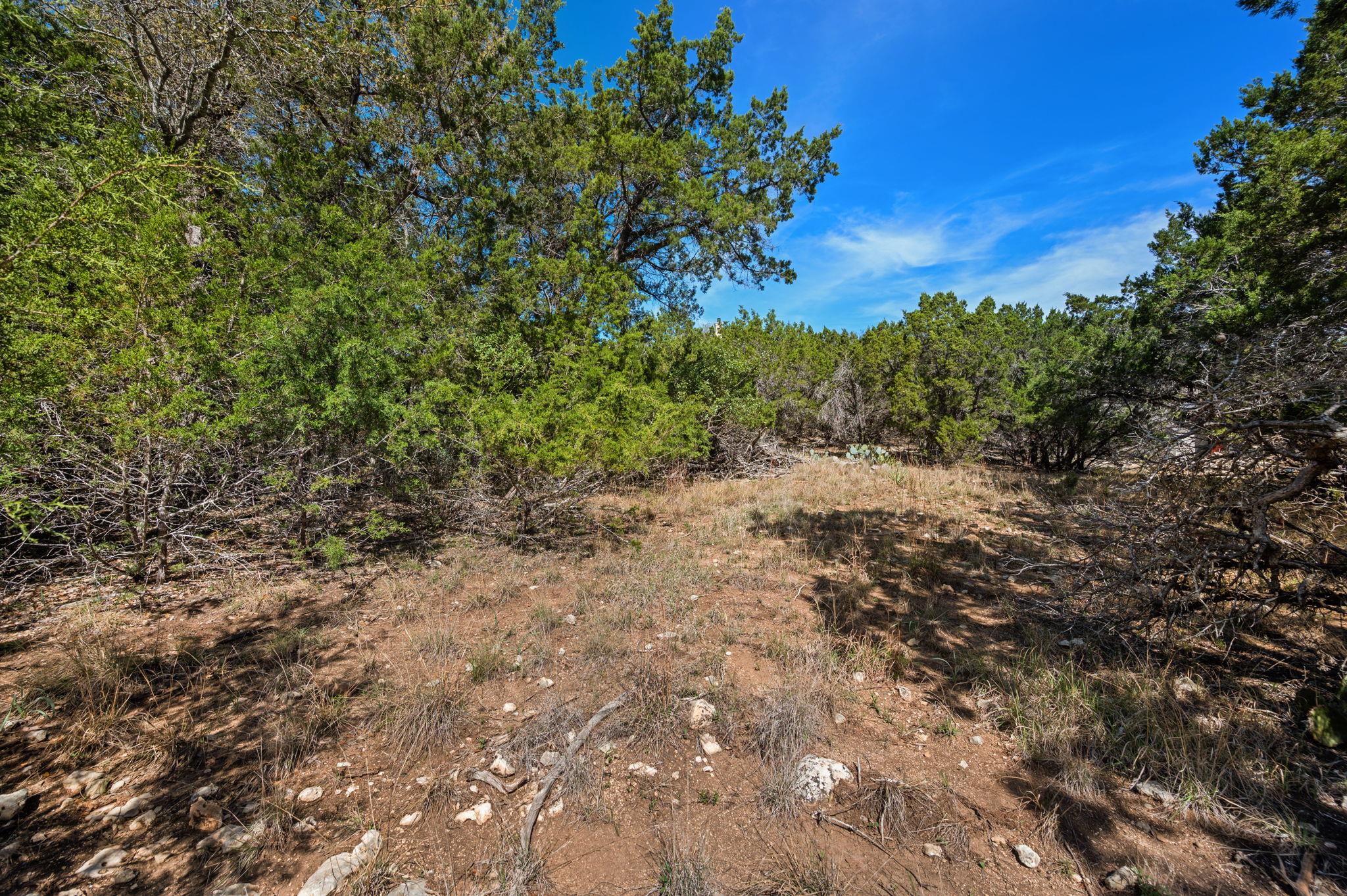 16400 Jackson St, Volente, TX 78641