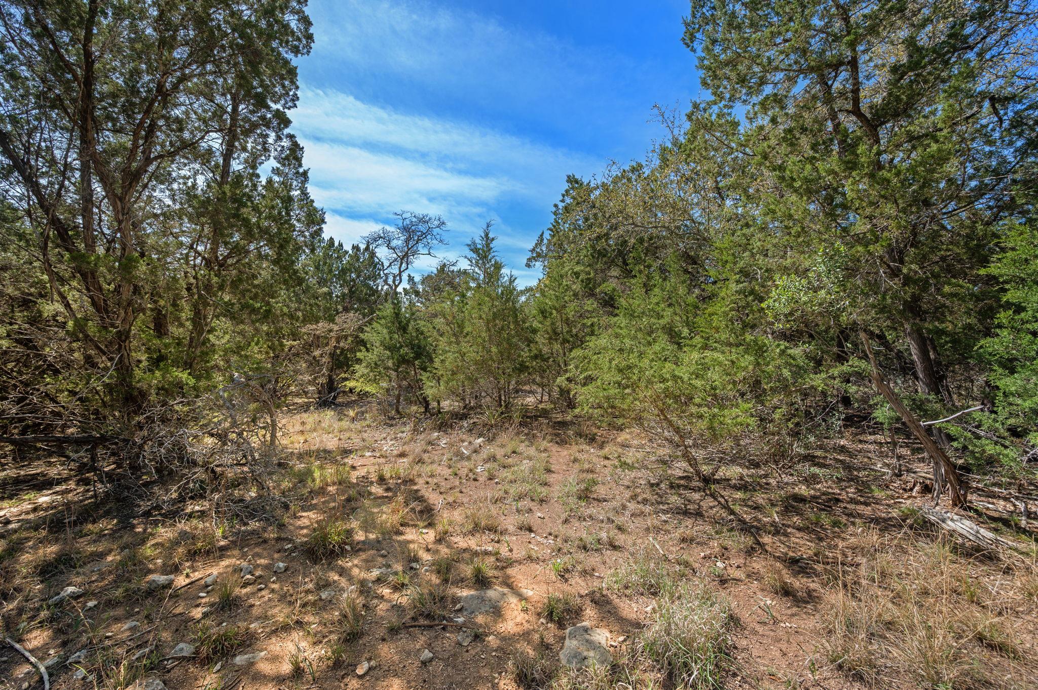 16400 Jackson St, Volente, TX 78641