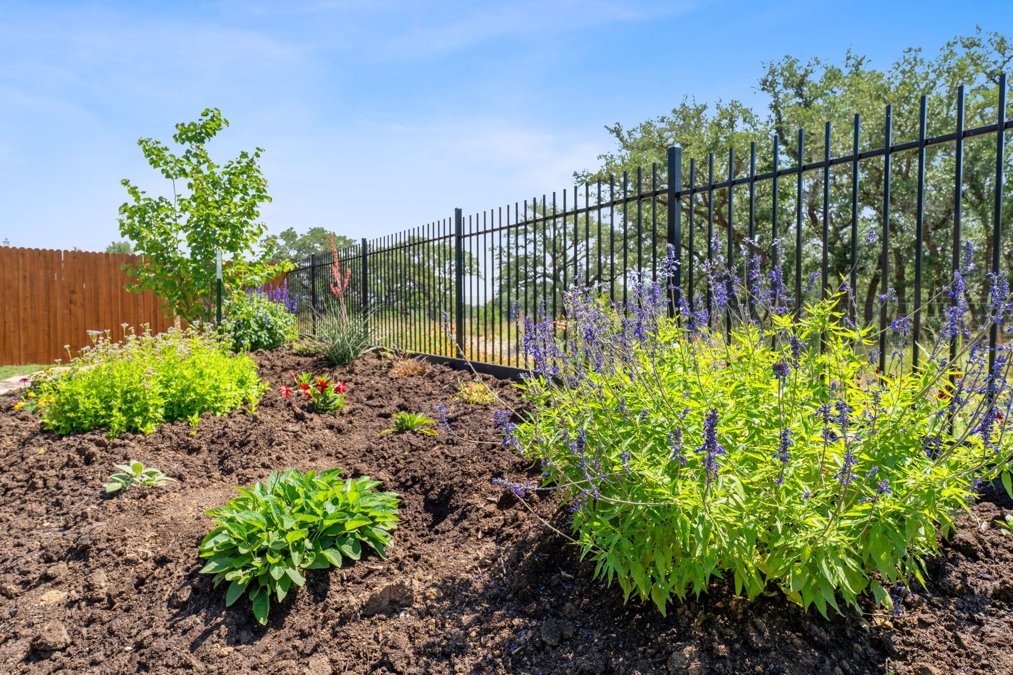 1437 Argyll Park, Bulverde, TX 78163