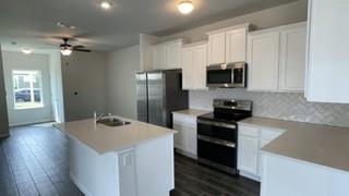 9616 Whispher Willow Blvd, Manor, TX 78653