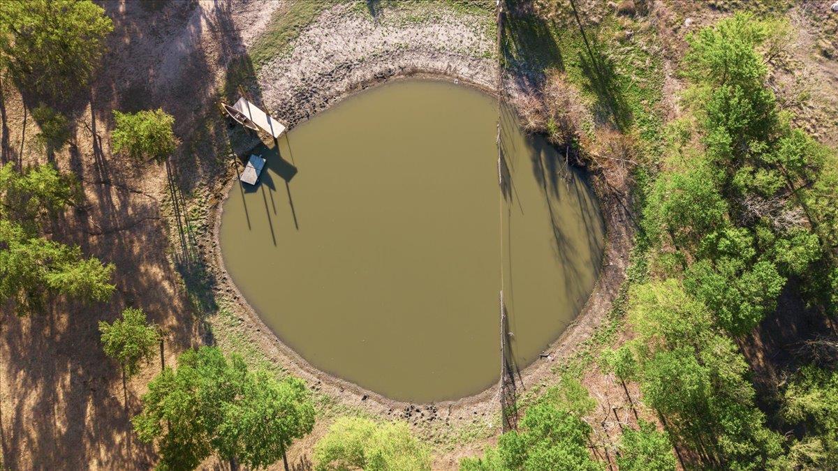 17309 Skog Rd, Elgin, TX 78660