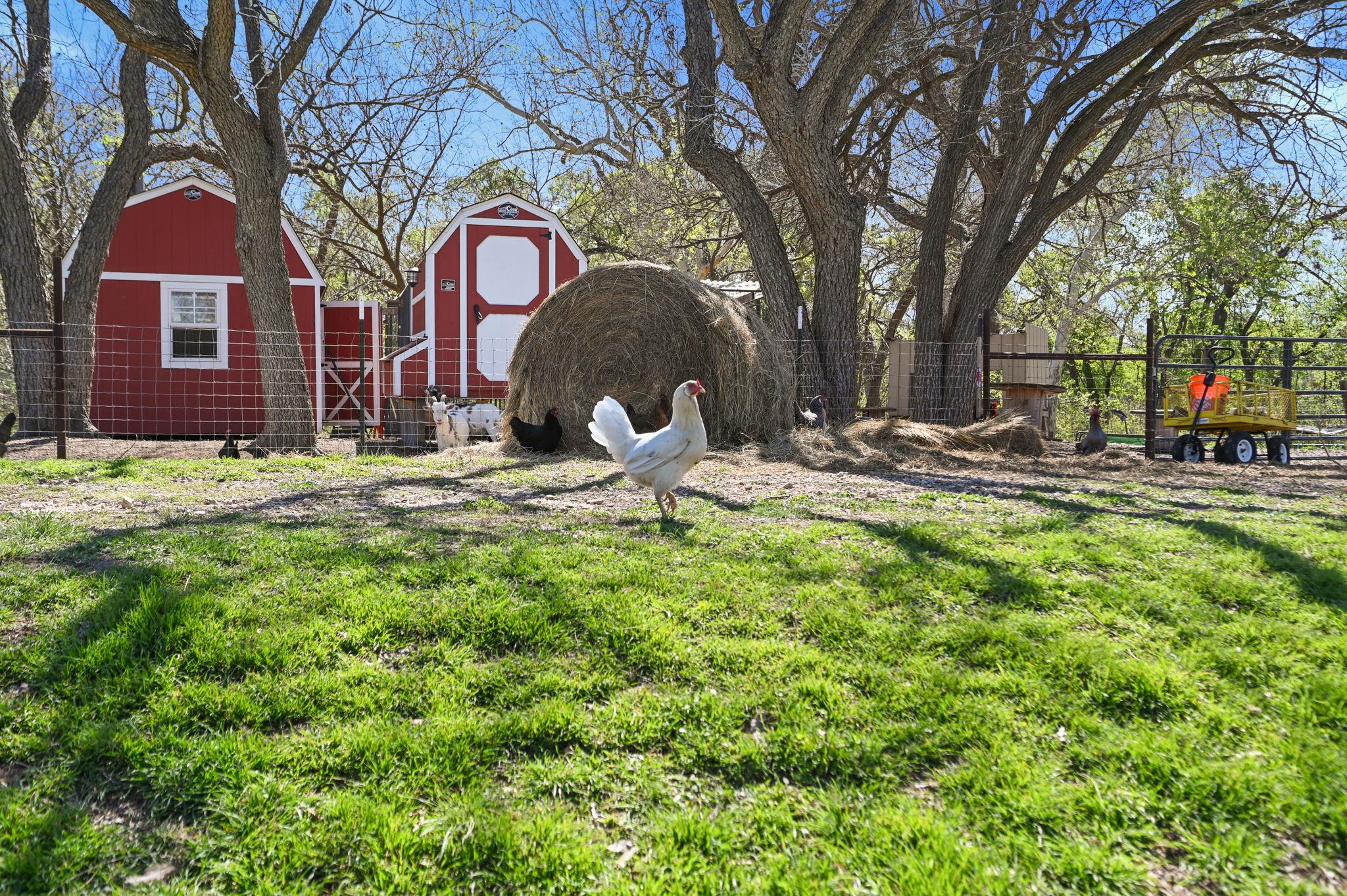 11900 Fm 1660, Hutto, TX 78634