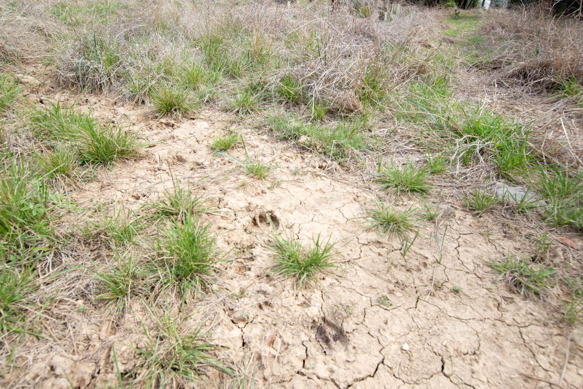 2005 Park Rd, Lampasas, TX 76550