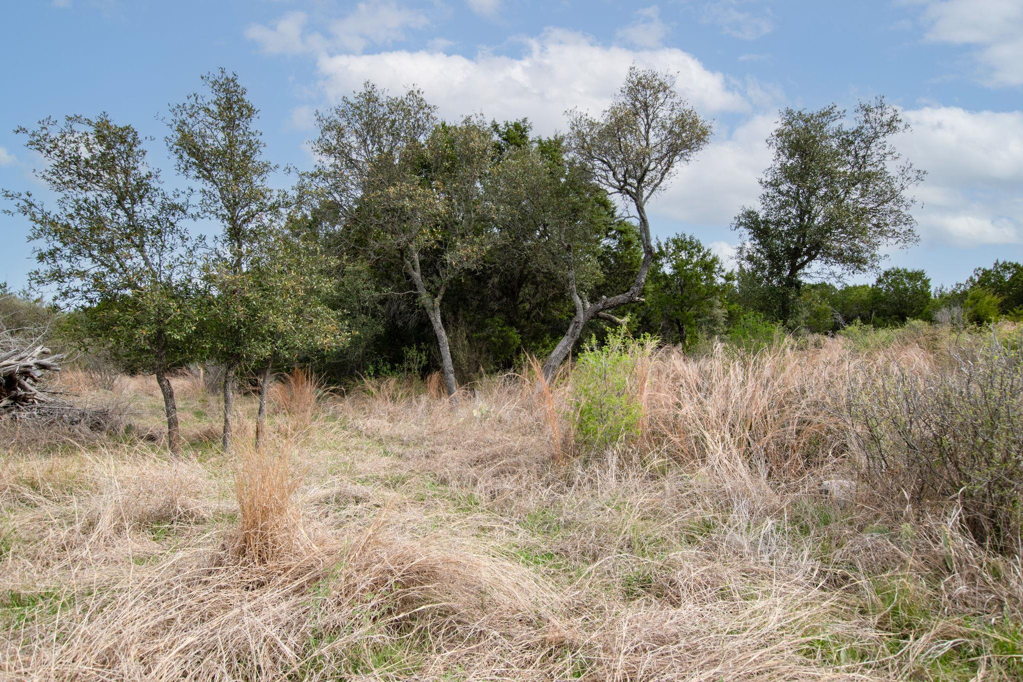 2005 Park Rd, Lampasas, TX 76550