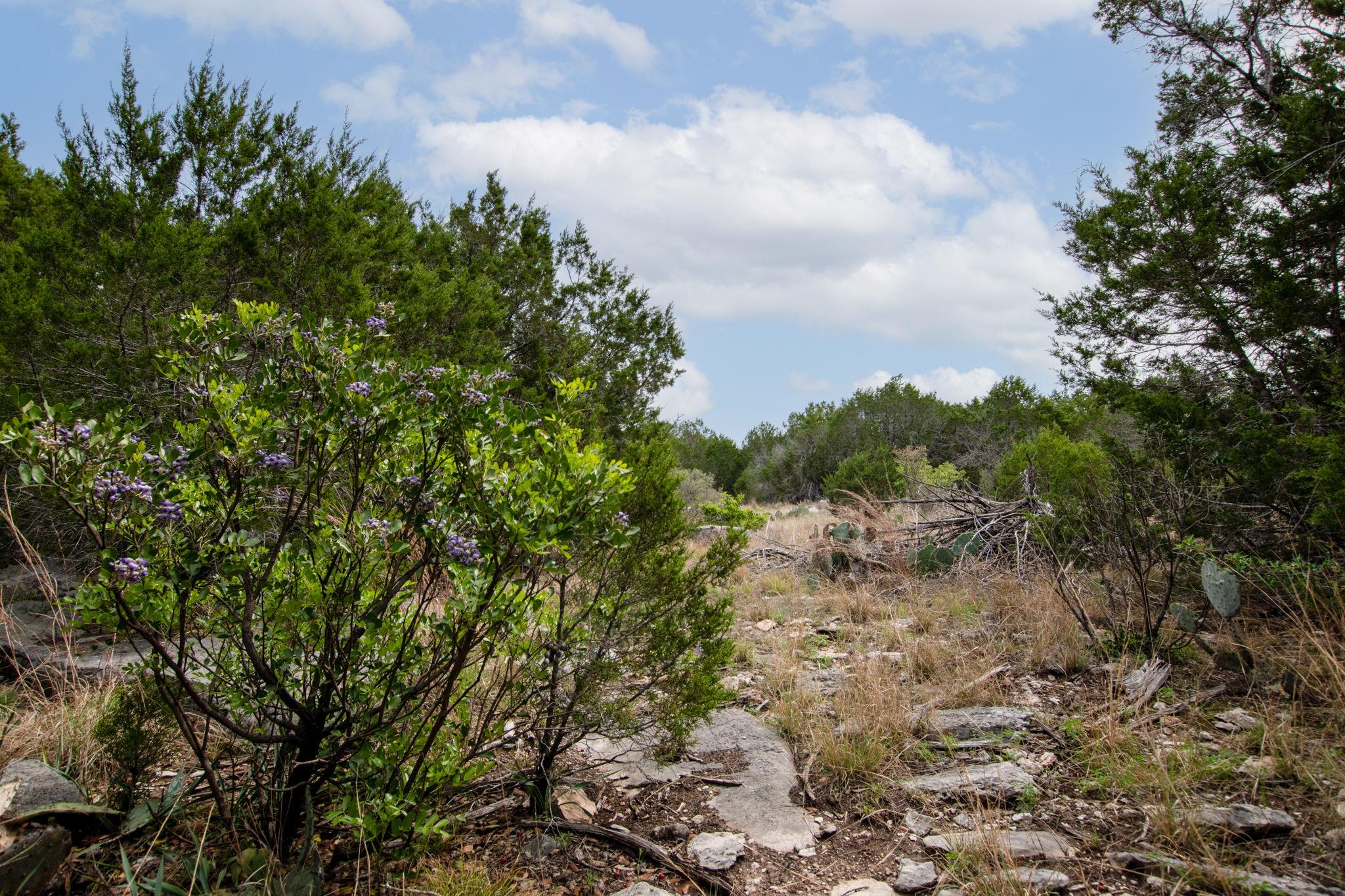 2005 Park Rd, Lampasas, TX 76550