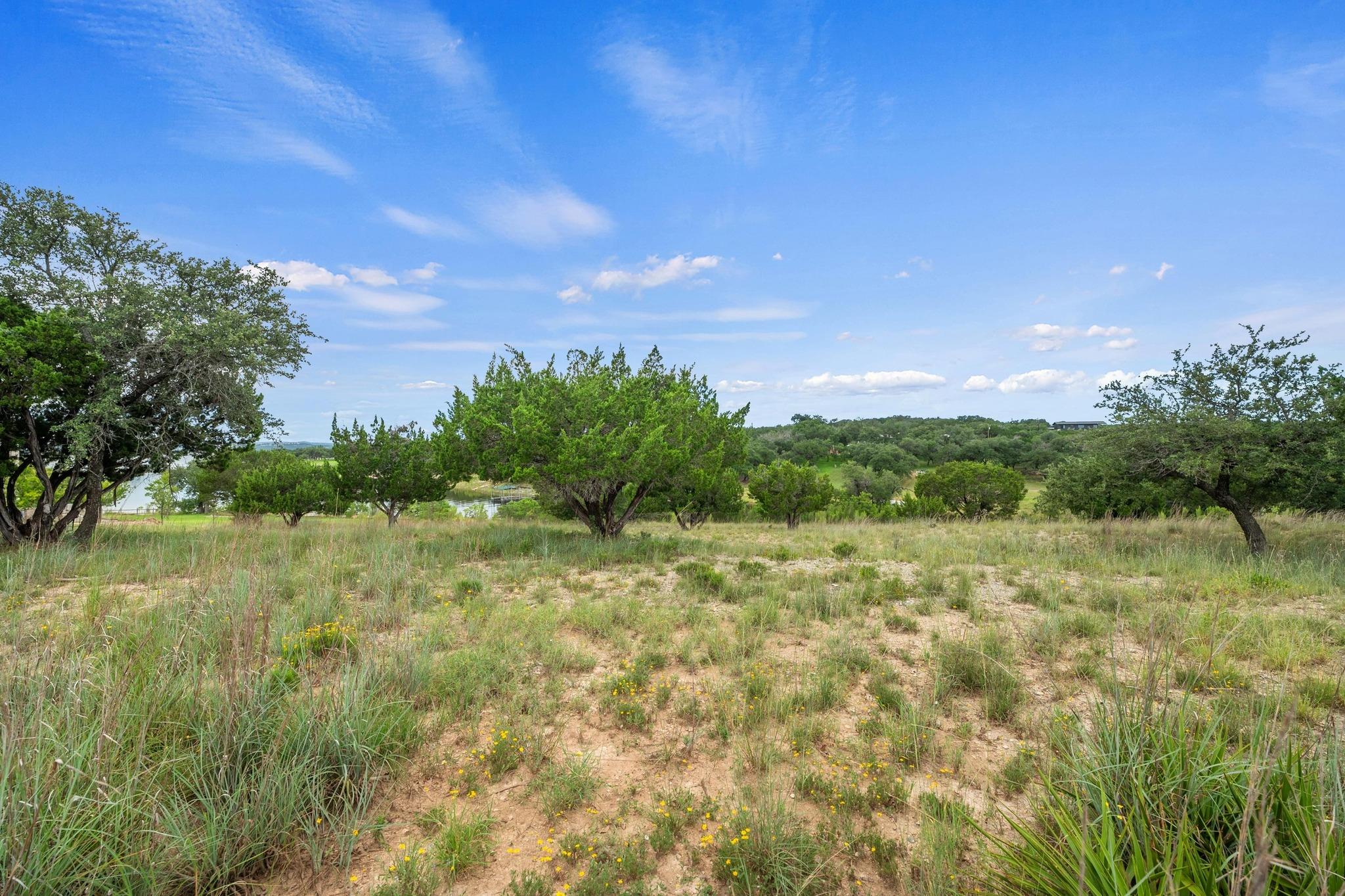 1901 Valentino Cv, Spicewood, TX 78669