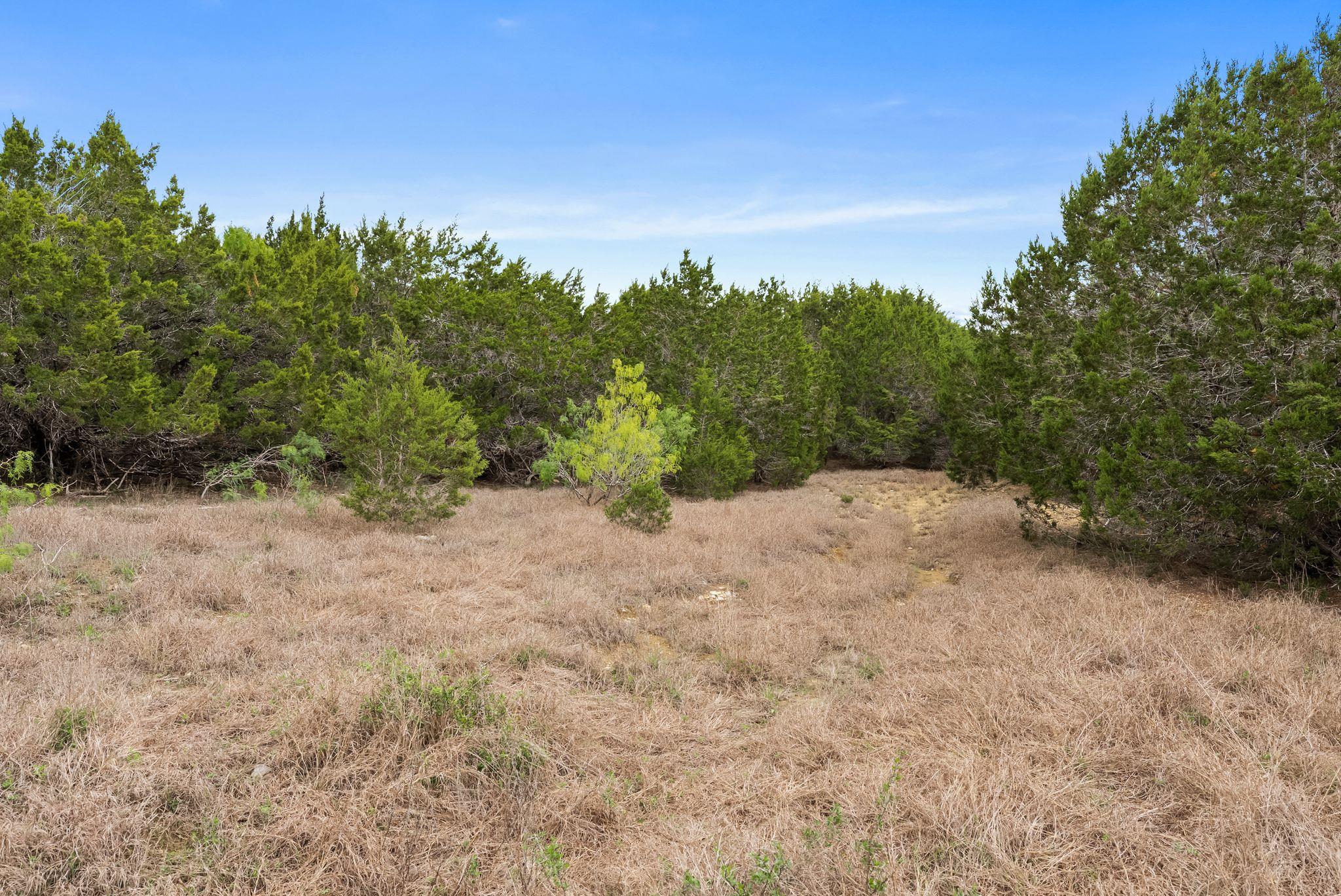 175 Eastwood Ln, San Marcos, TX 78666