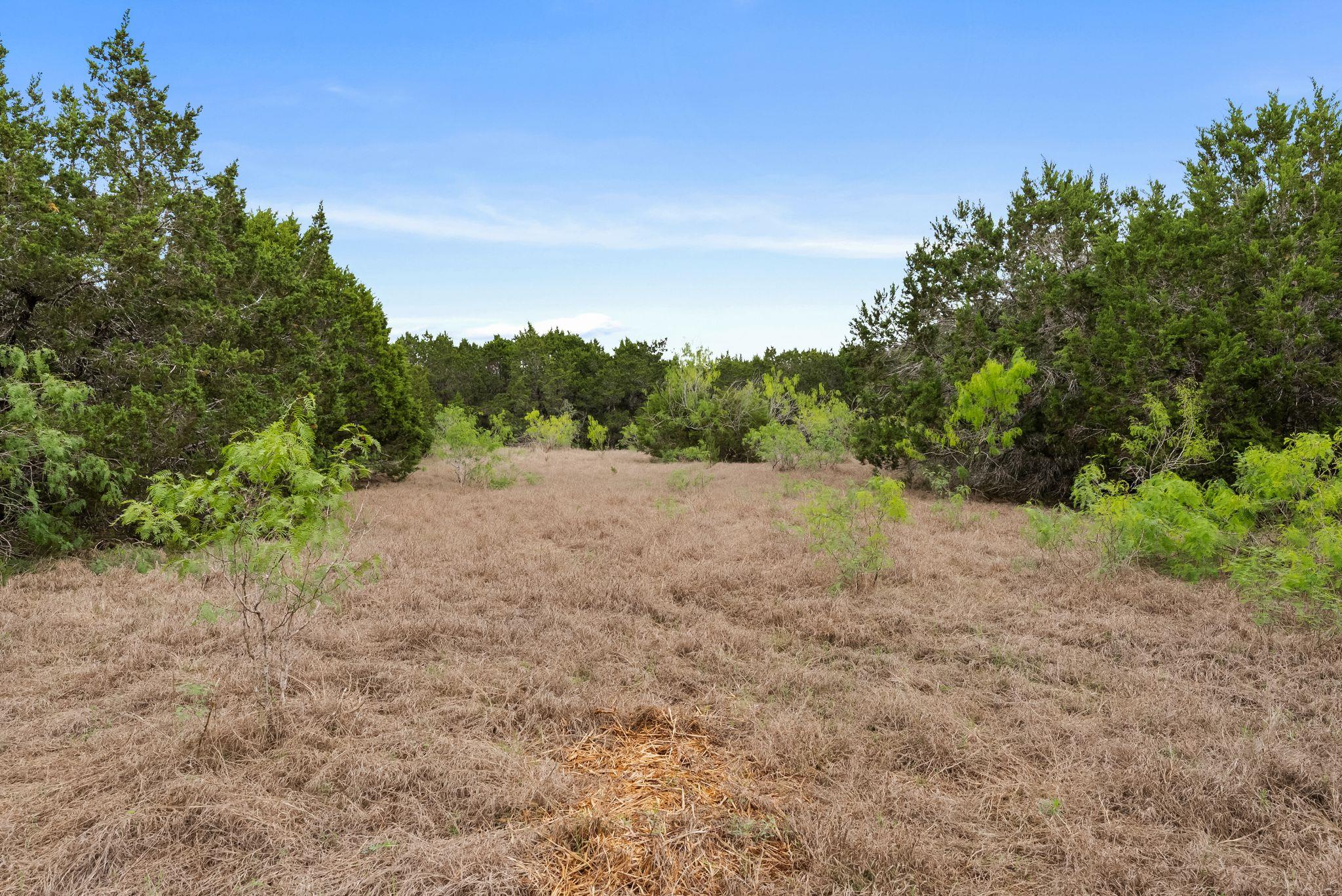 175 Eastwood Ln, San Marcos, TX 78666