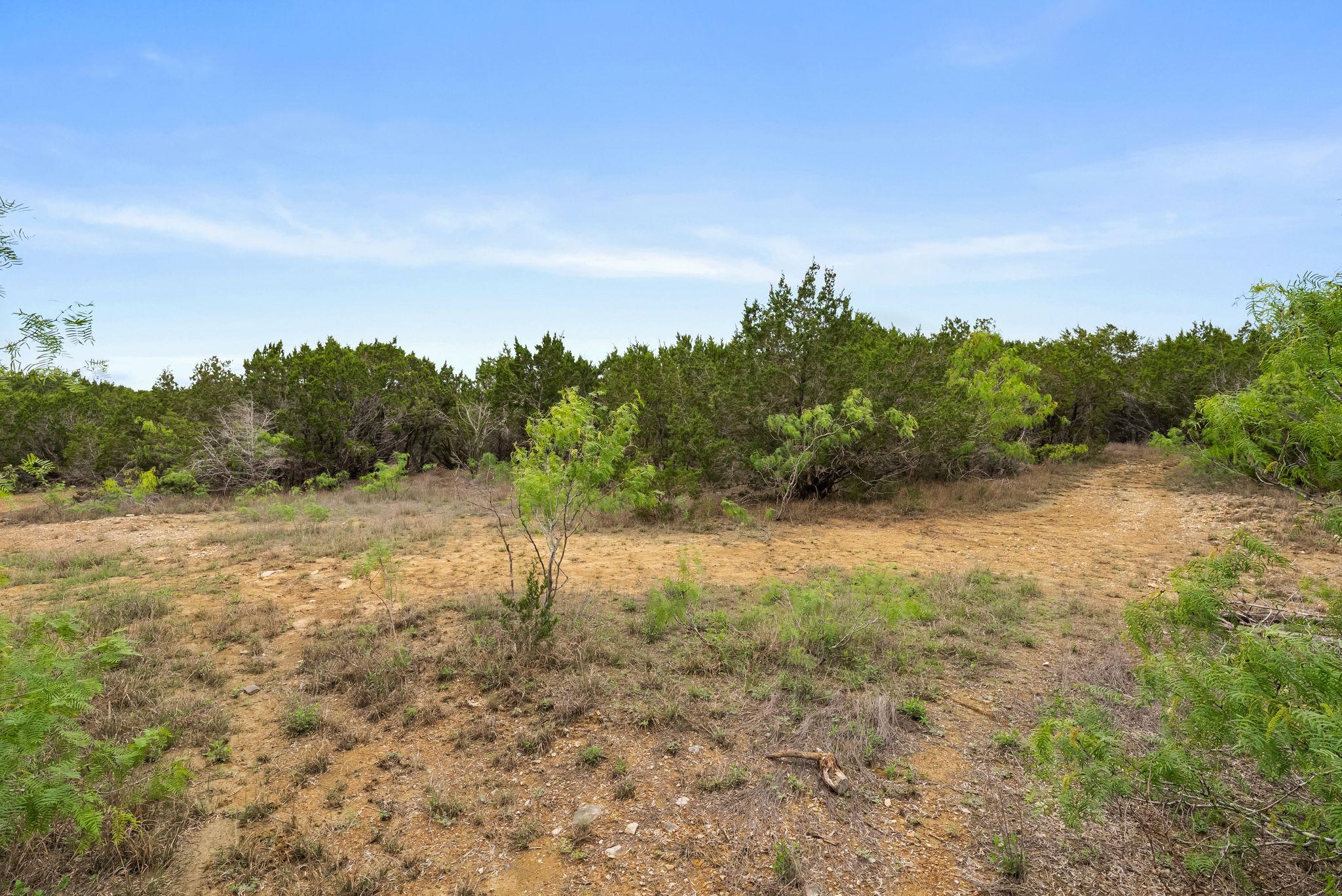 175 Eastwood Ln, San Marcos, TX 78666