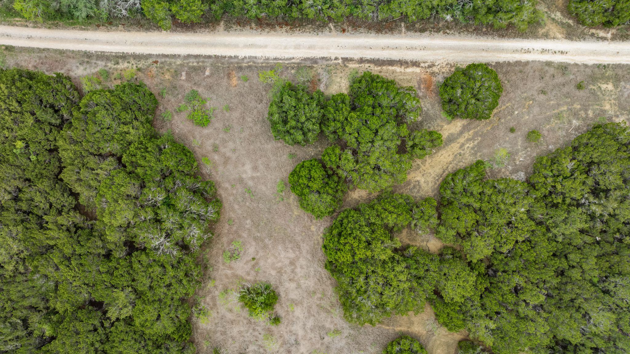 175 Eastwood Ln, San Marcos, TX 78666