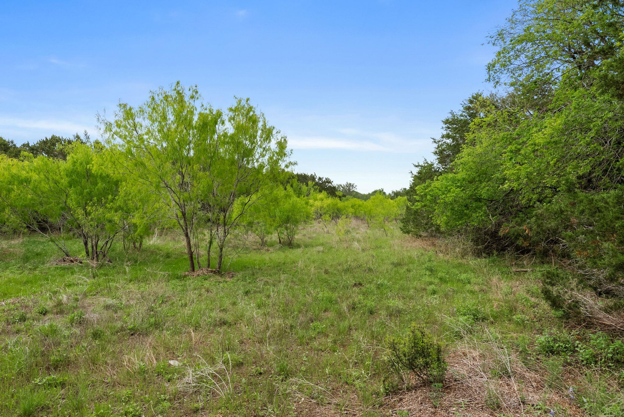 175 Eastwood Ln, San Marcos, TX 78666