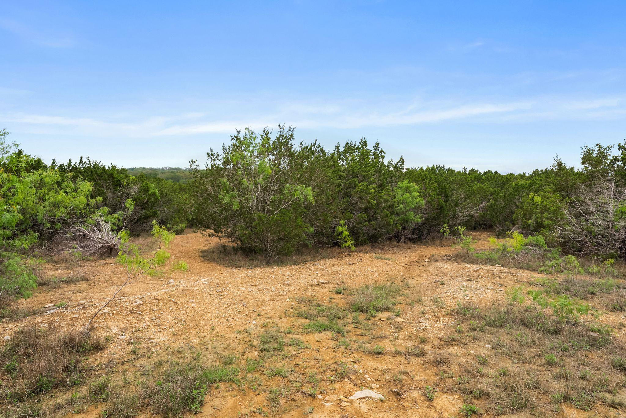 175 Eastwood Ln, San Marcos, TX 78666