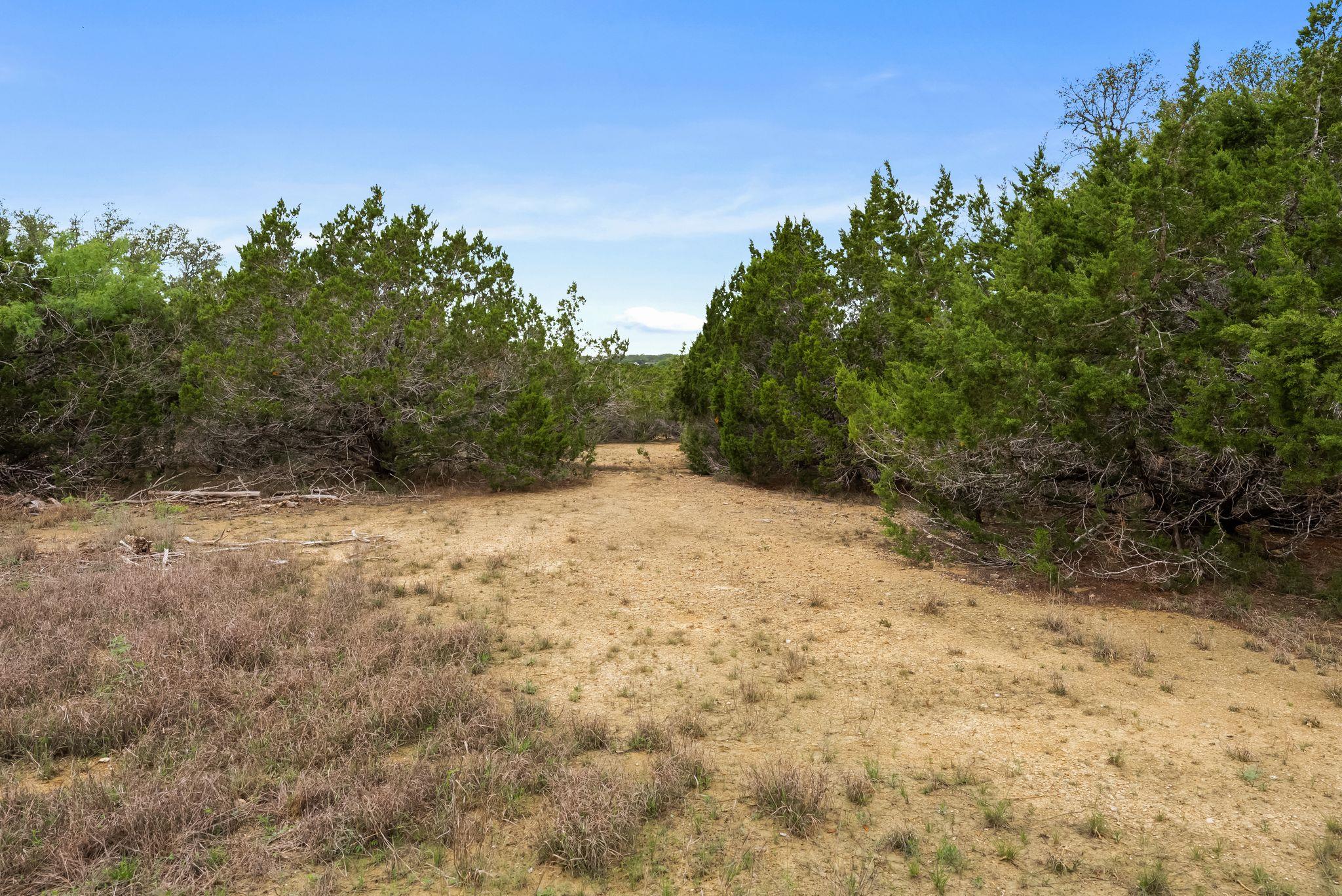 175 Eastwood Ln, San Marcos, TX 78666