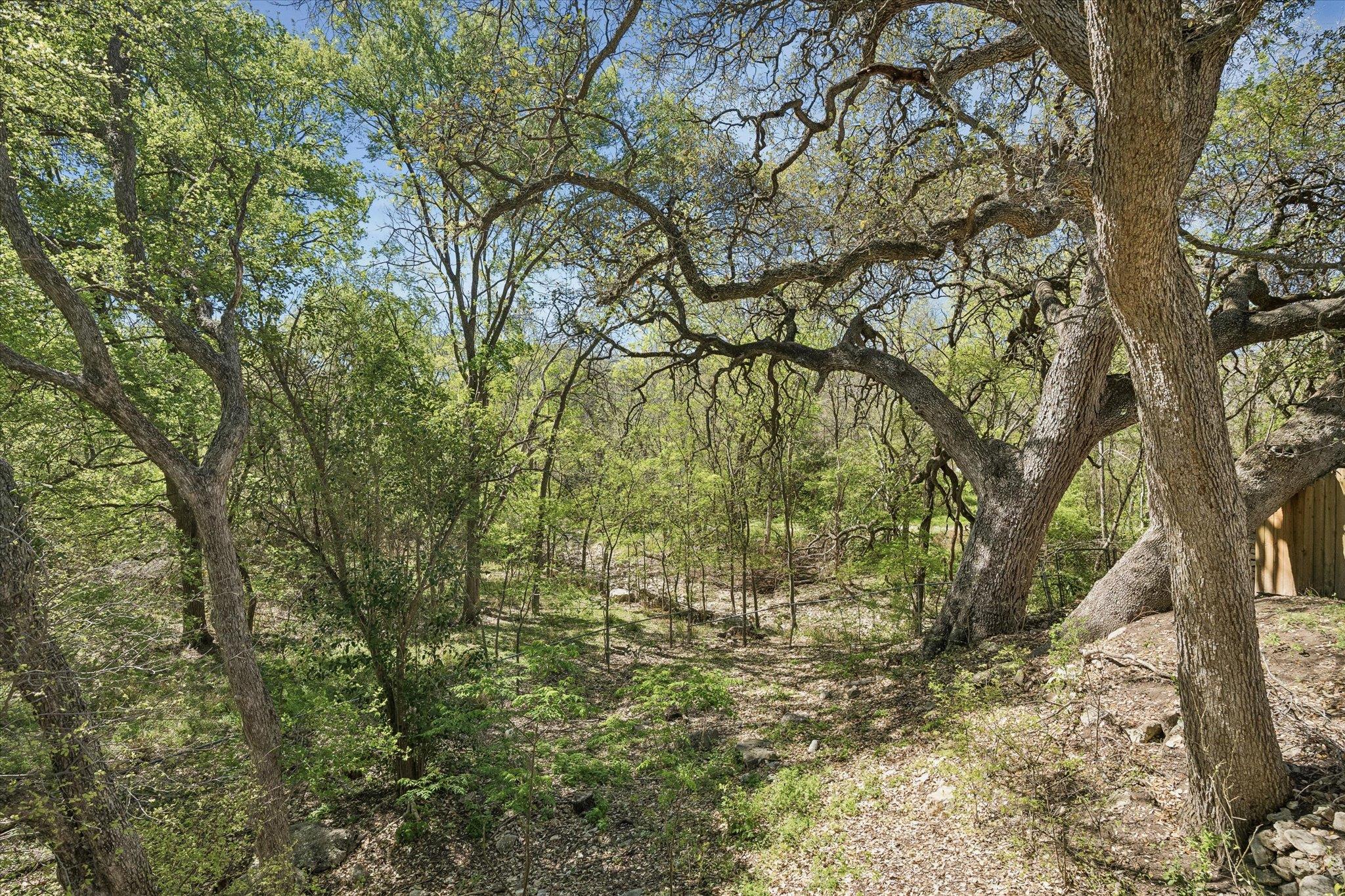 3103 Canter Ln, Austin, TX 78759