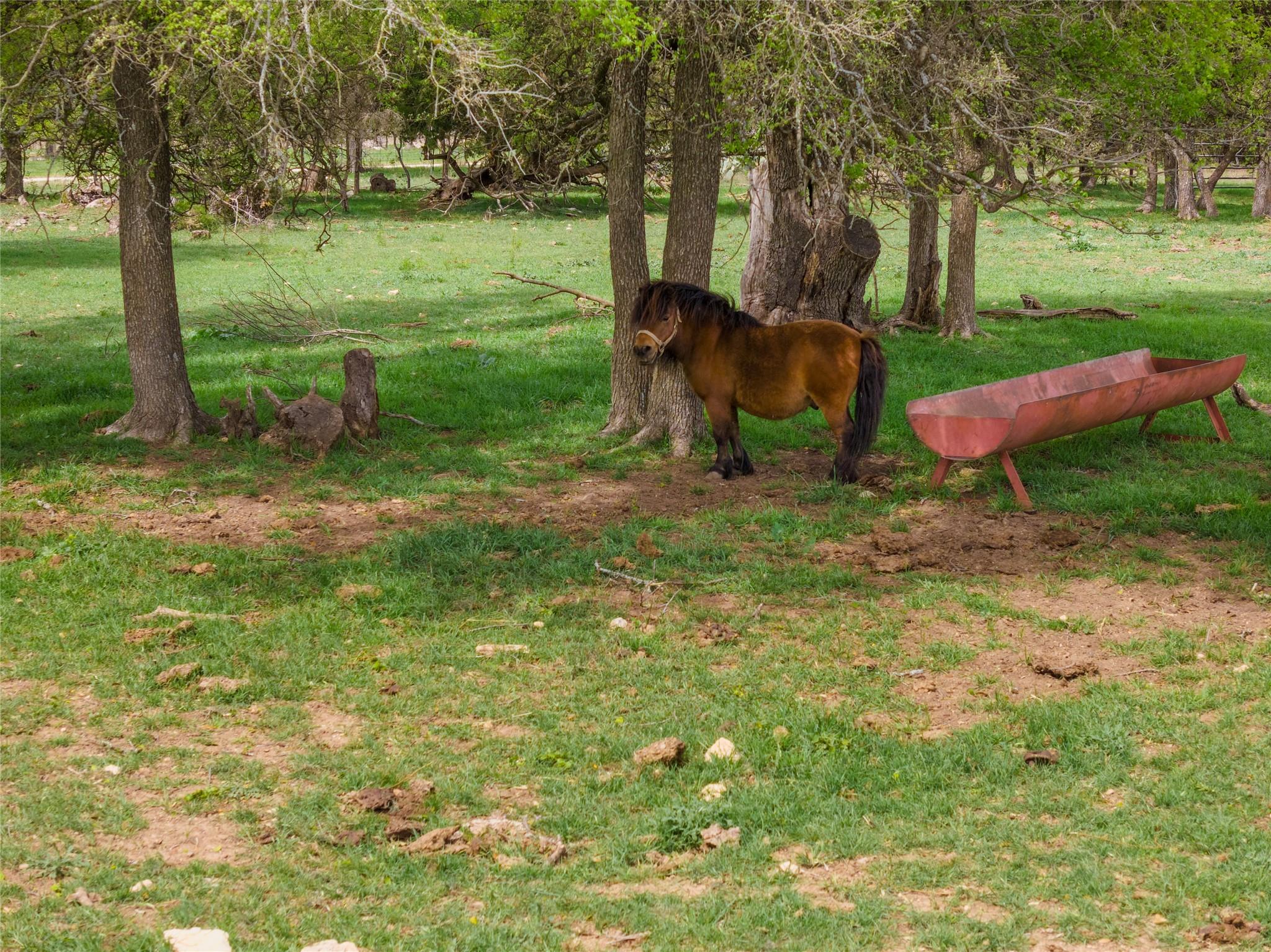 6200 Solana Ranch Rd, Salado, TX 76571