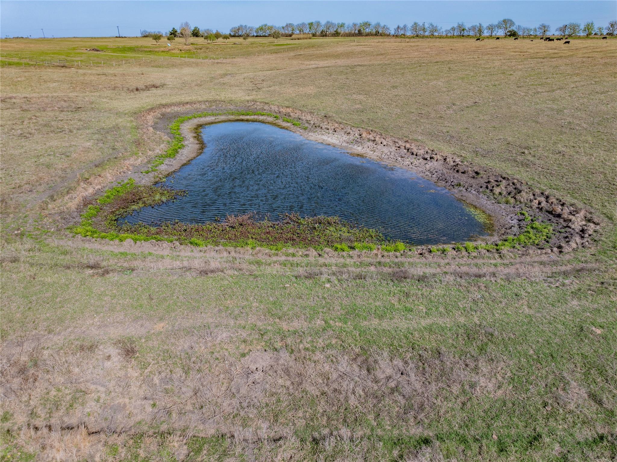 555 Knape Rd, La Grange, TX 78945