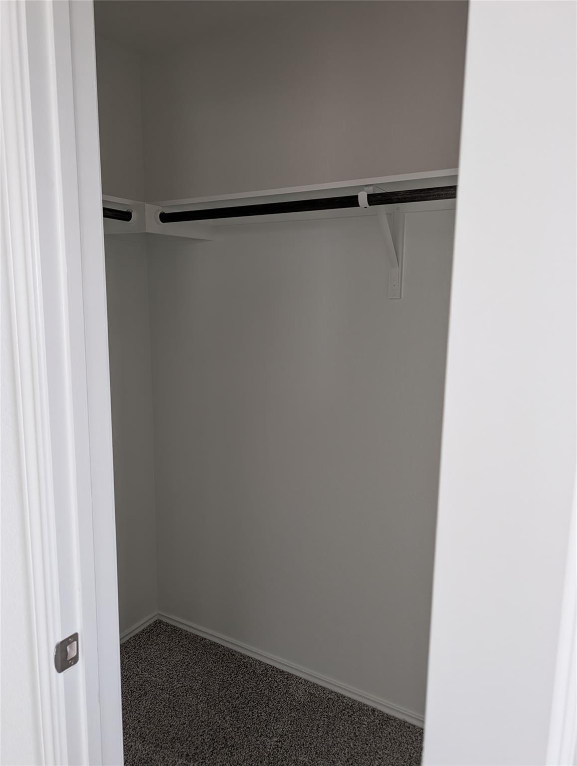 100 Red Buckeye St, Hutto, TX 78634