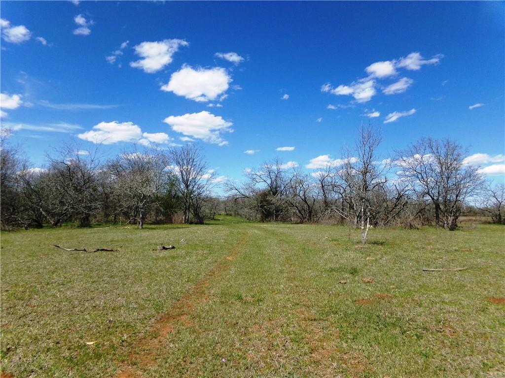 TBD FM 619, Thrall, TX 76578