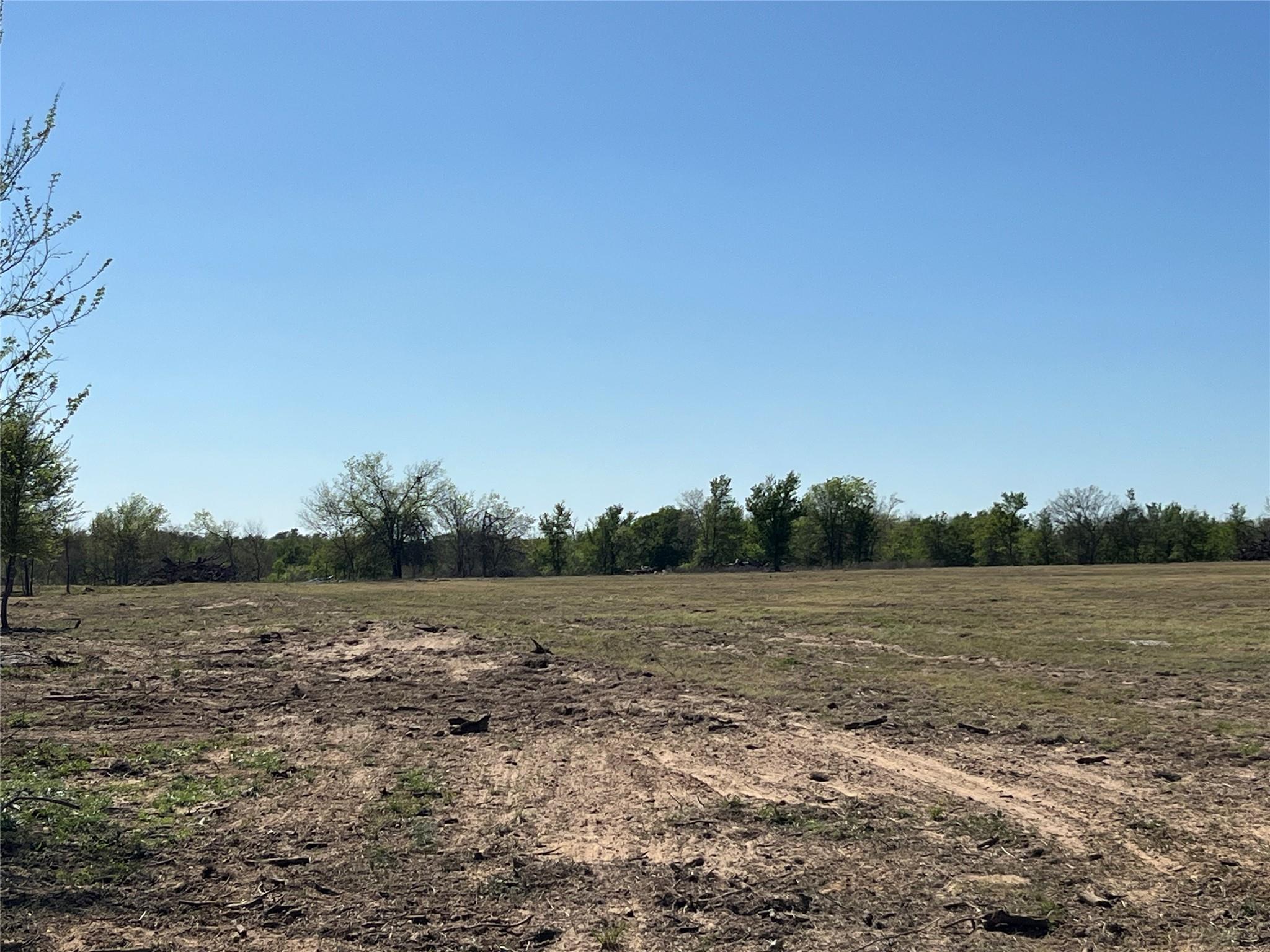 TBD FM 619, Thrall, TX 76578