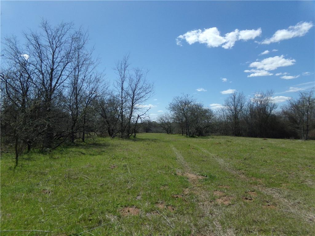 TBD FM 619, Thrall, TX 76578