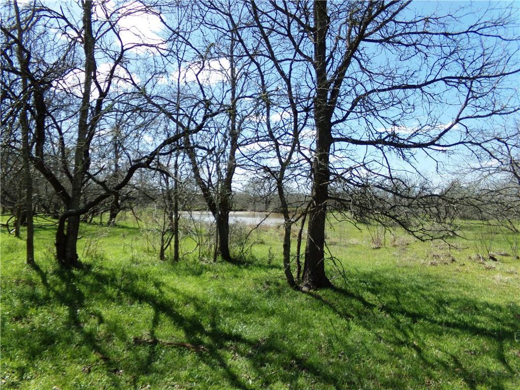 TBD FM 619, Thrall, TX 76578