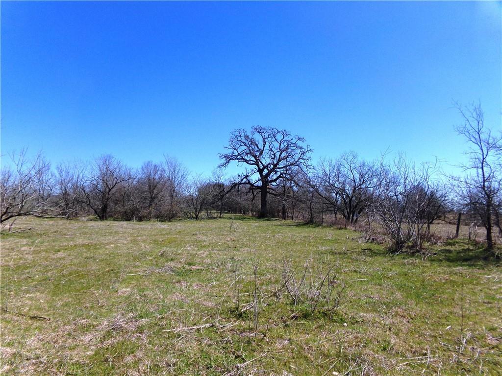 TBD FM 619, Thrall, TX 76578