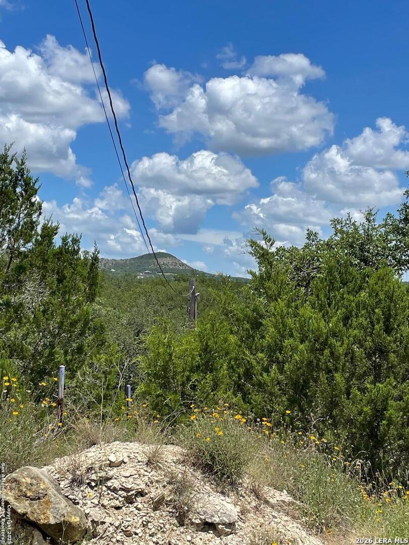 1409 LAVACA Dr, Canyon Lake, TX 78133