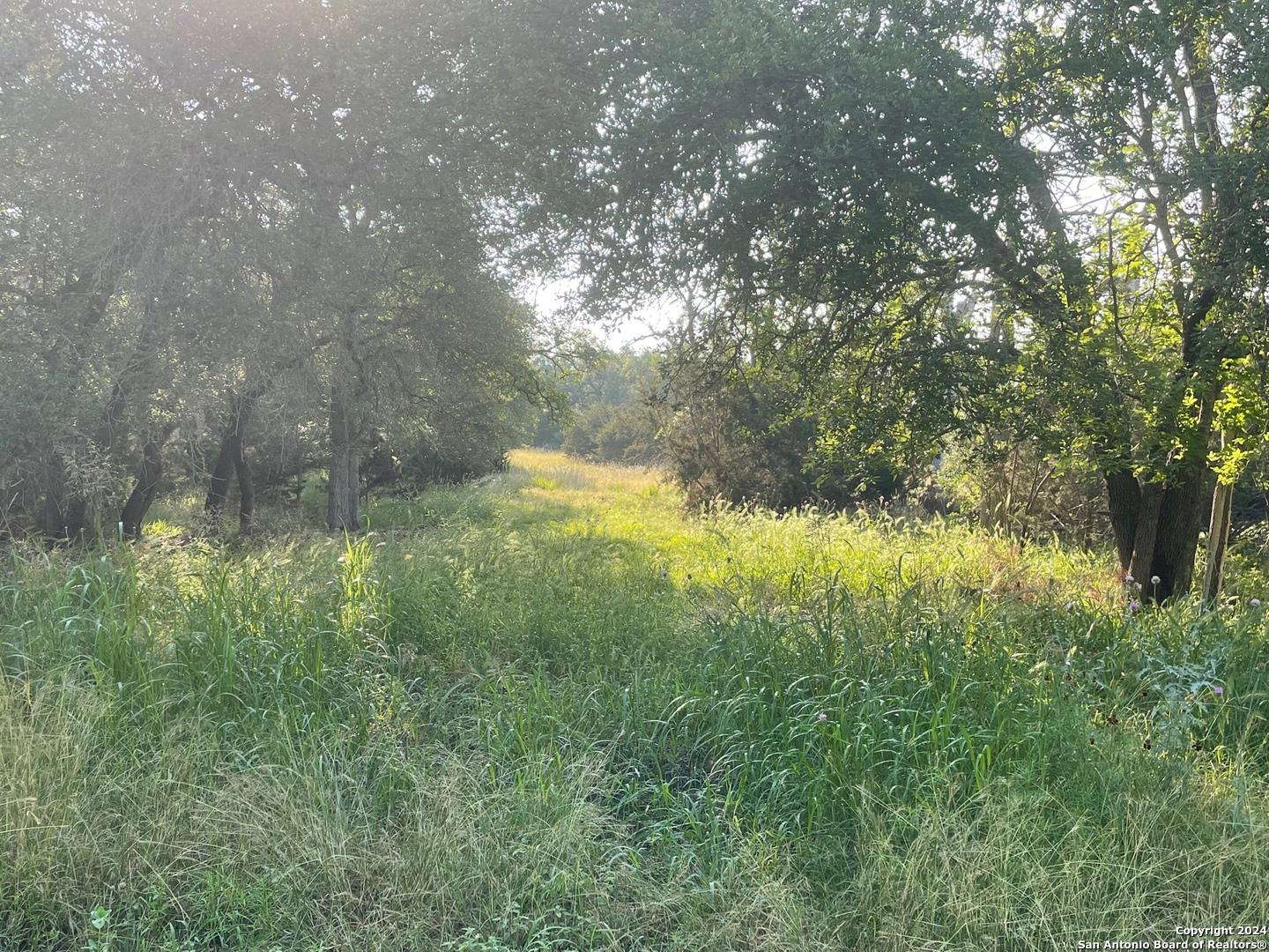 1409 LAVACA Dr, Canyon Lake, TX 78133