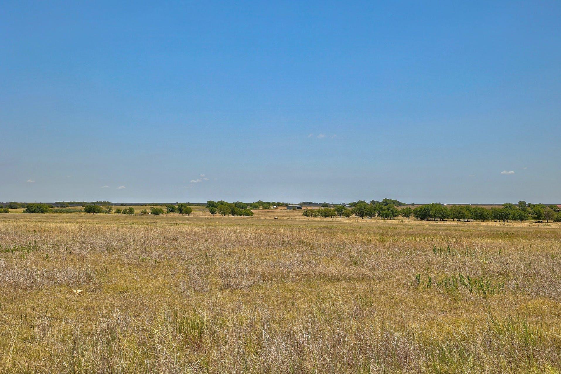 13212 Sandeen Rd, Manor, TX 78653