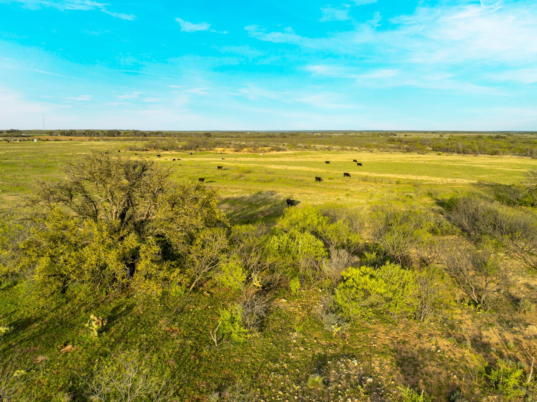 2145 County Road 320, Brady, TX 76852