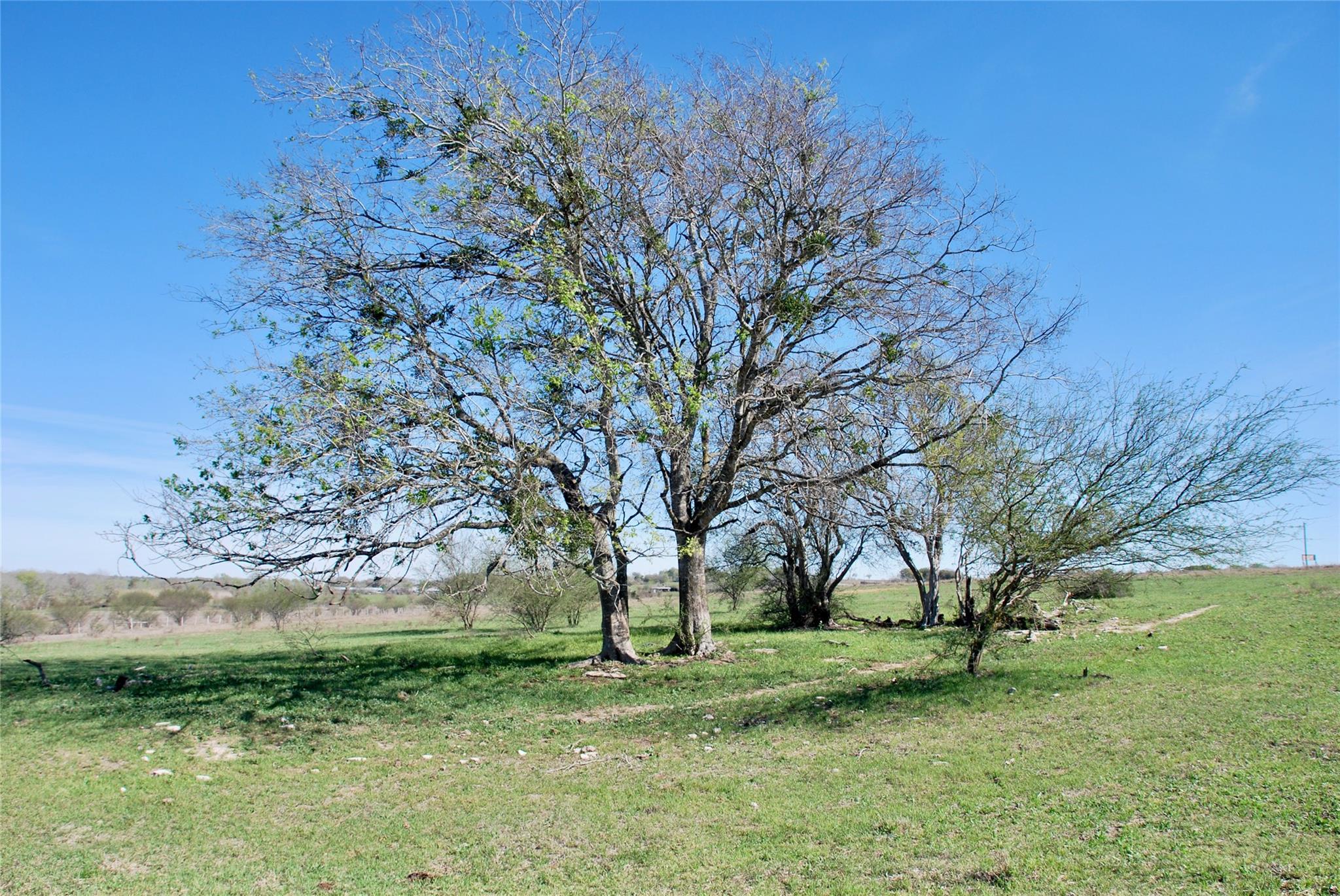 TBD State Hwy 95 Highway N, Moulton, TX 77975