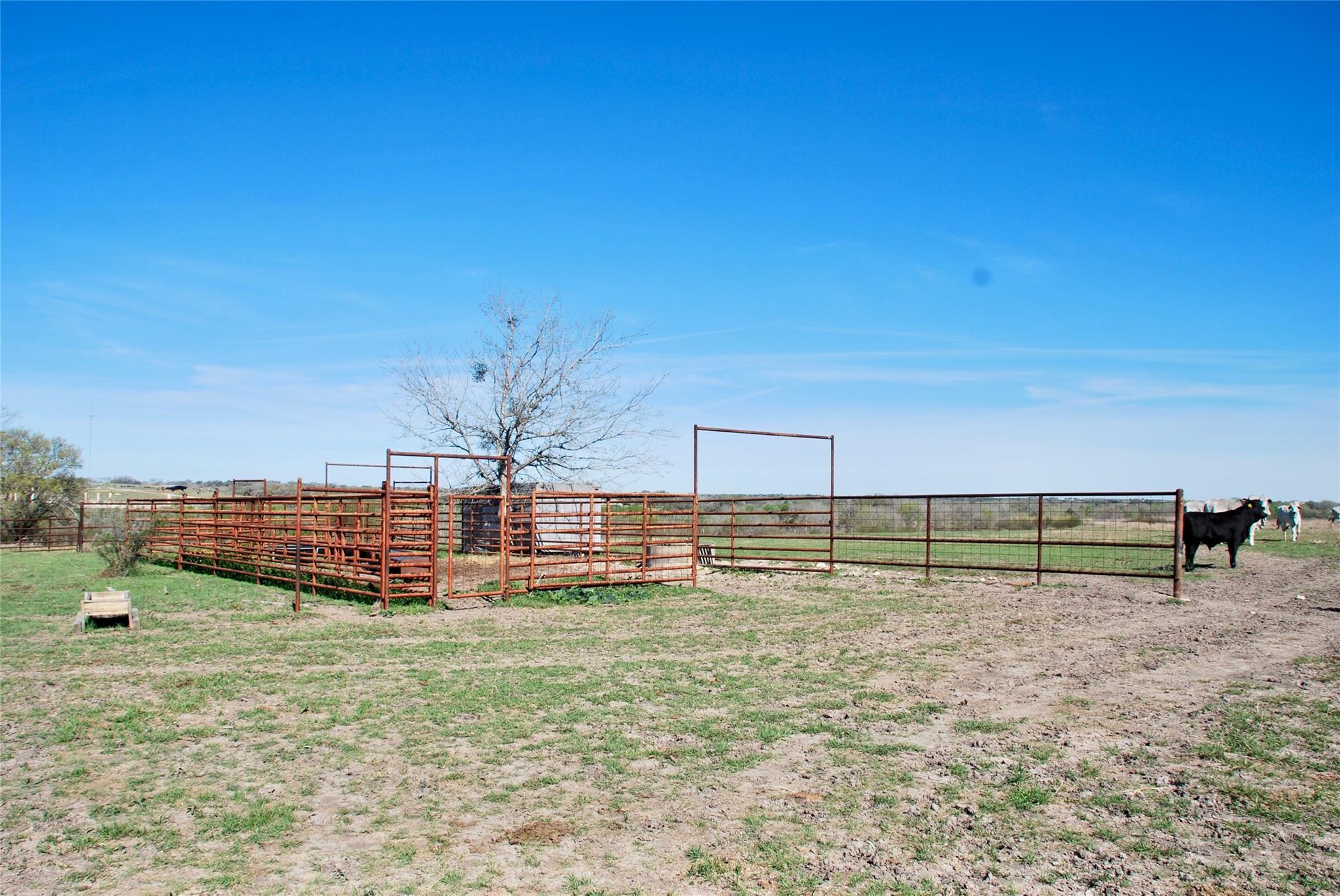 TBD State Hwy 95 Highway N, Moulton, TX 77975