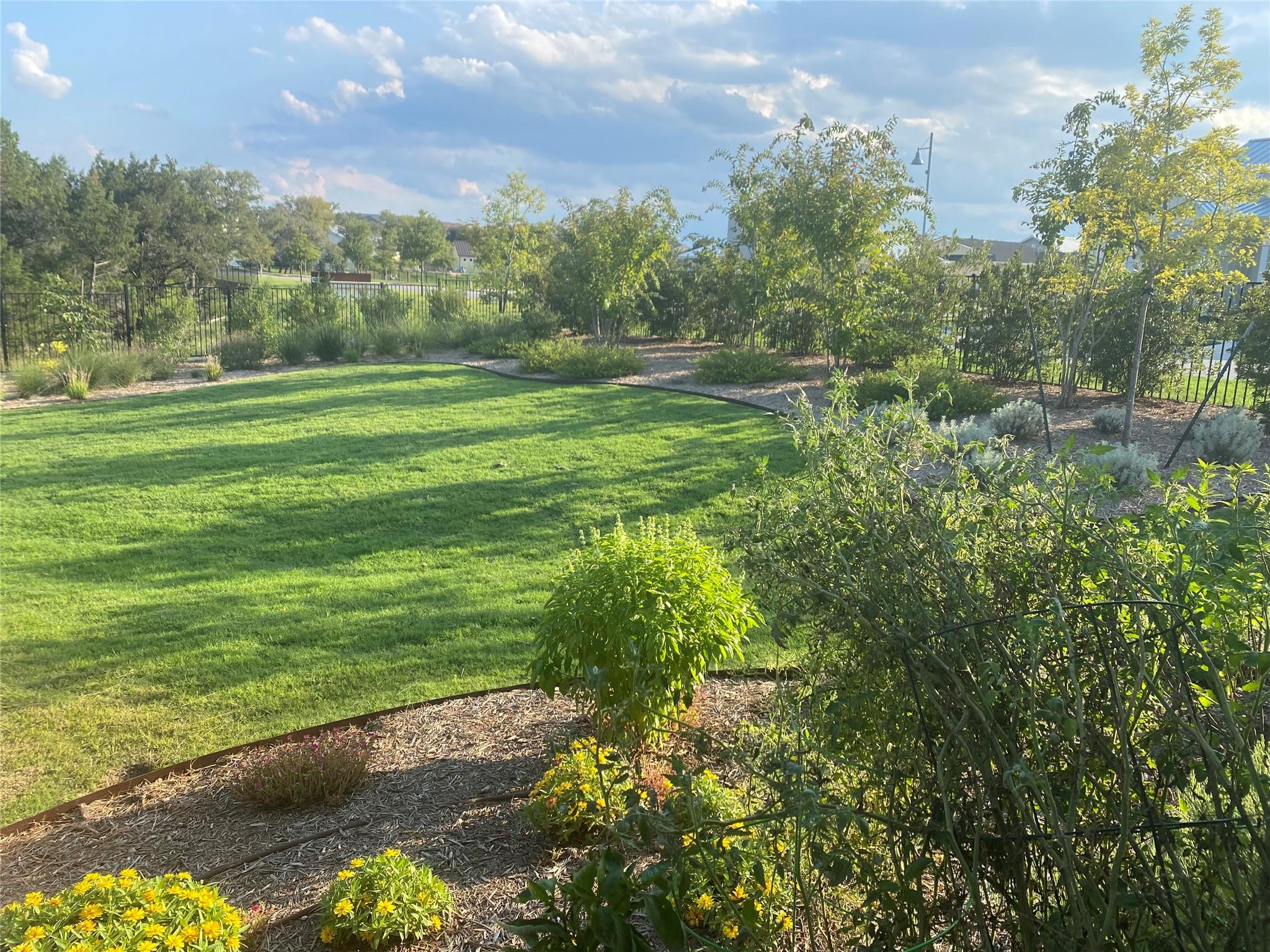 104 Drawing Maple St, San Marcos, TX 78666