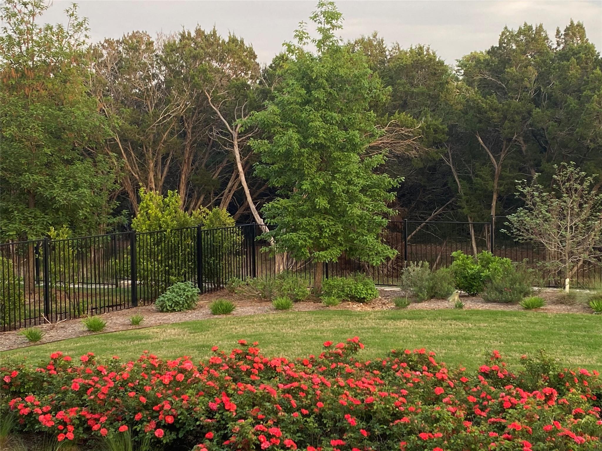 104 Drawing Maple St, San Marcos, TX 78666