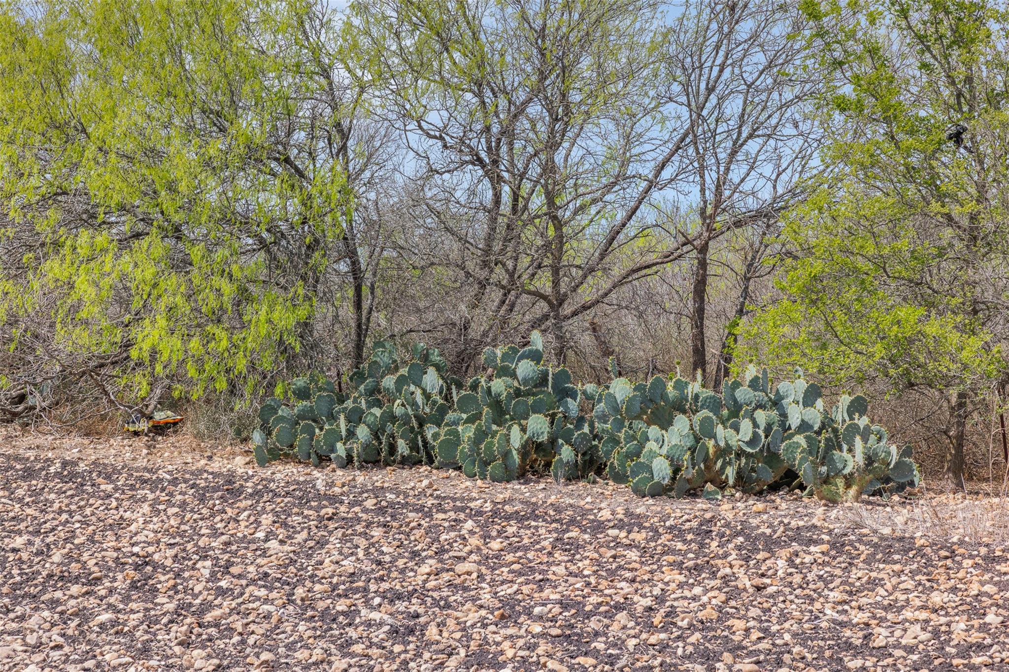 5340 Dreibrodt St, San Marcos, TX 78666