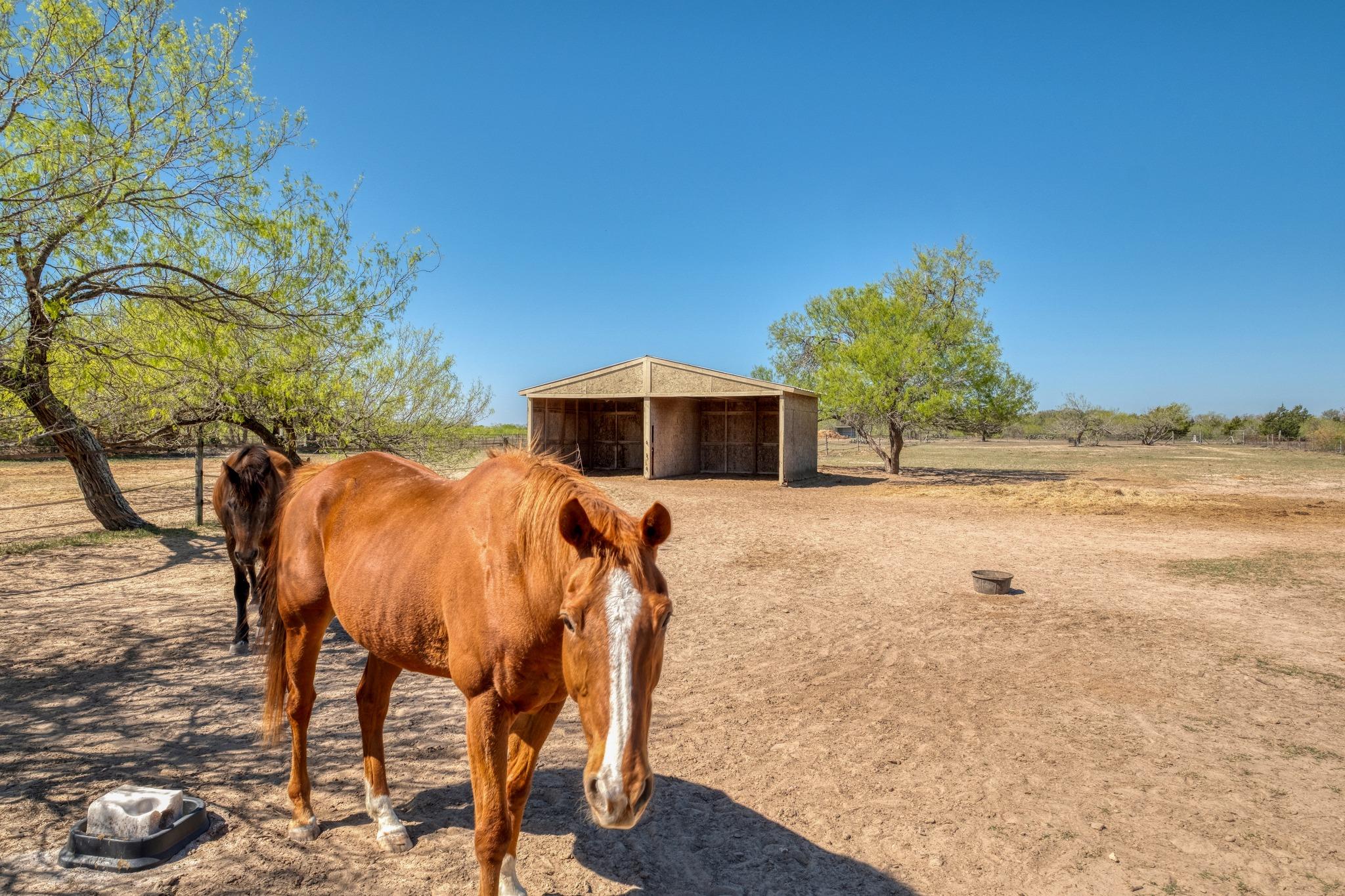 154 Three Oaks Ln, Bastrop, TX 78602