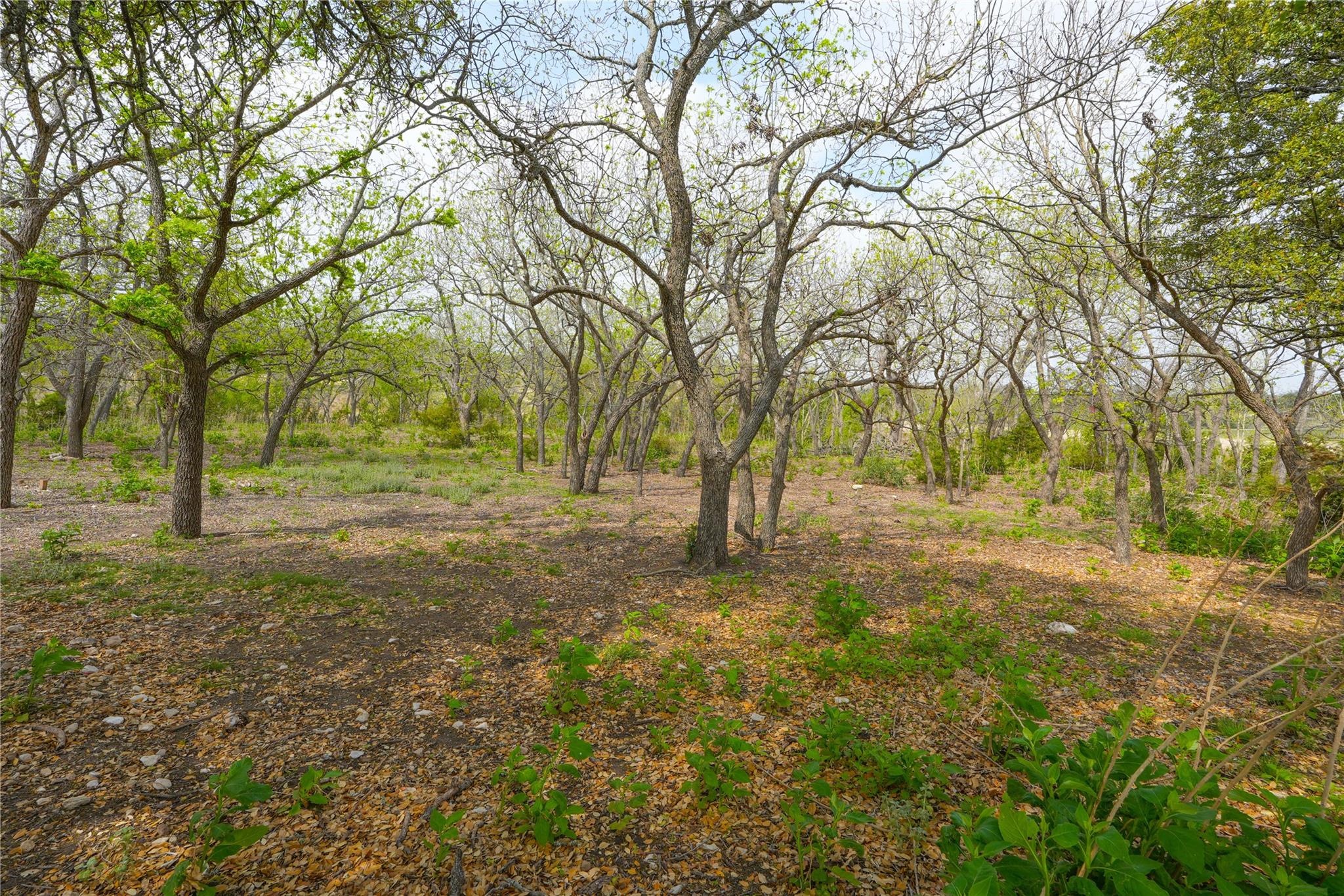 6980 Doss Spring Creek Rd, Fredericksburg, TX 78624