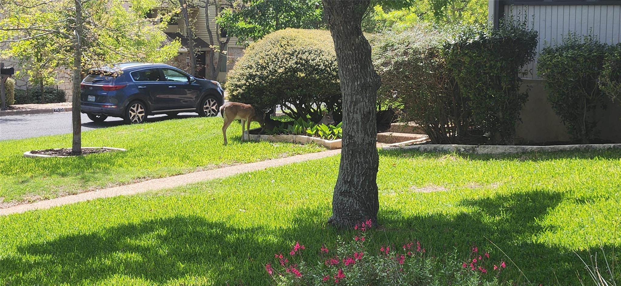 9610 Vista View Dr, Austin, TX 78750