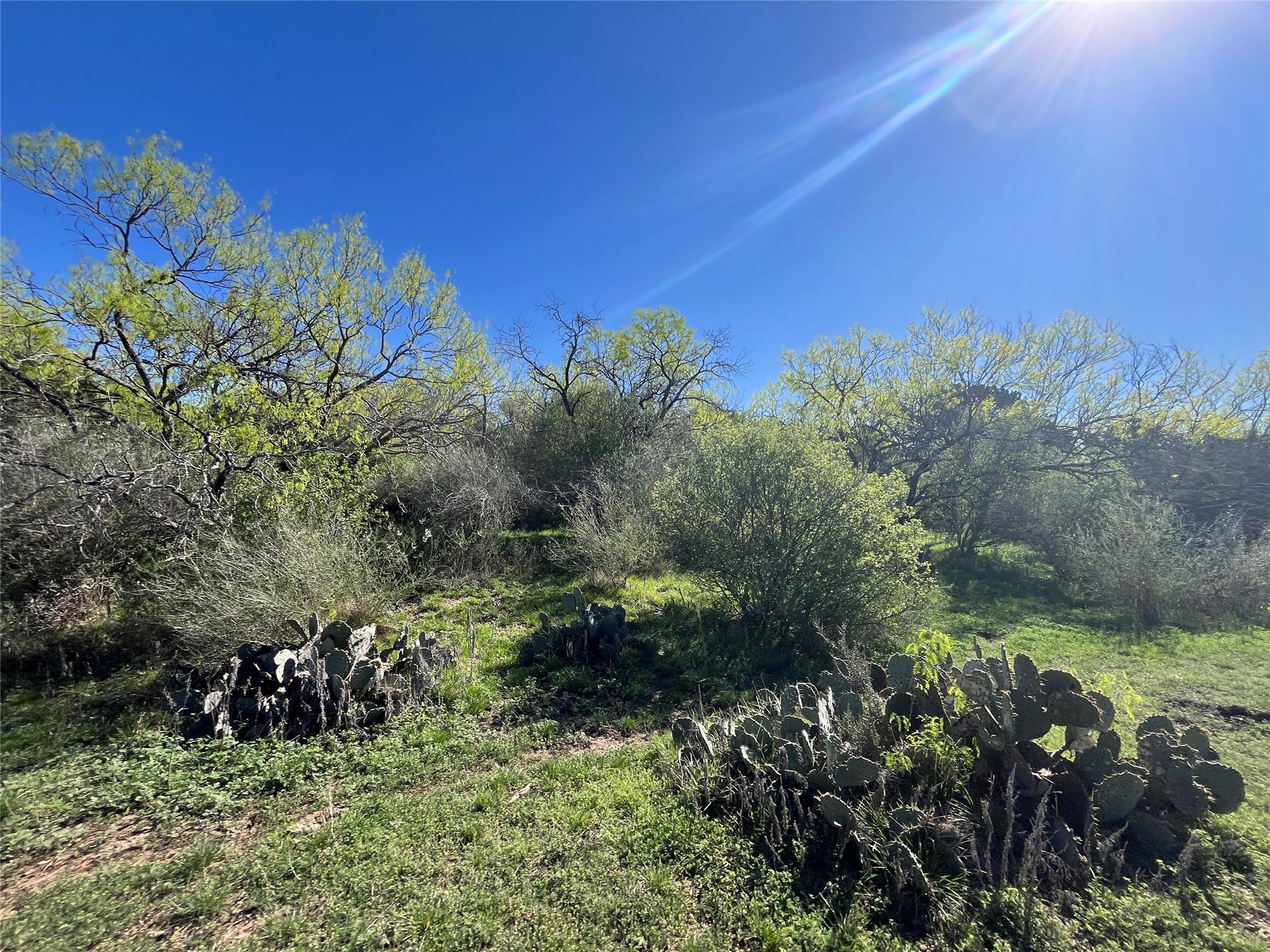 1218 Private Road 1377, Lampasas, TX 76550