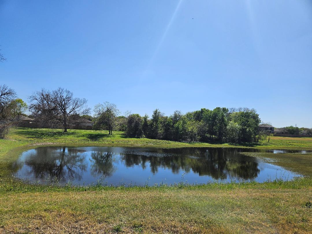 217 Killian Loop, Hutto, TX 78634