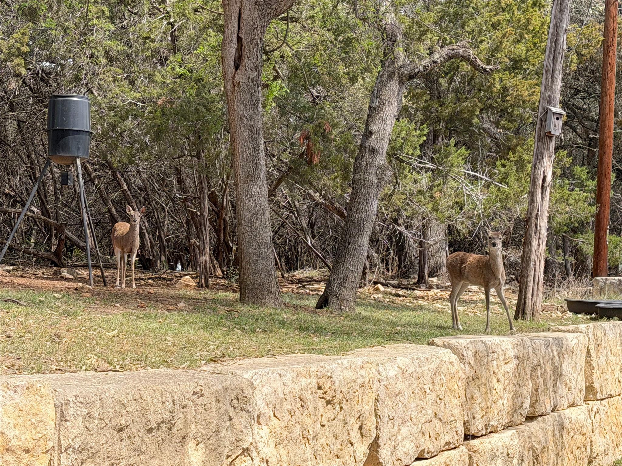 2872 Lakeview Dr, Canyon Lake, TX 78133