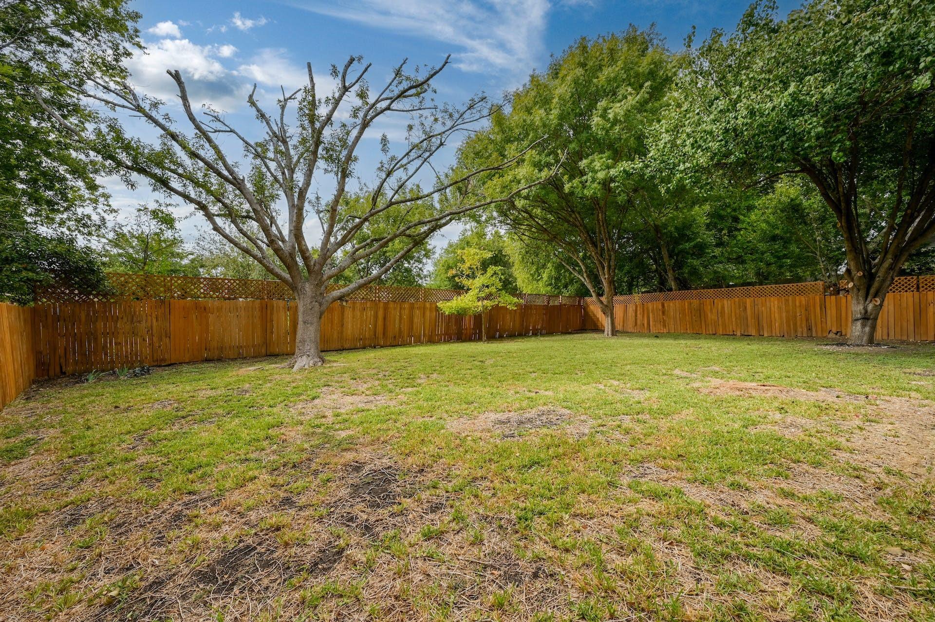 1807 Krizan Ave, Austin, TX 78727