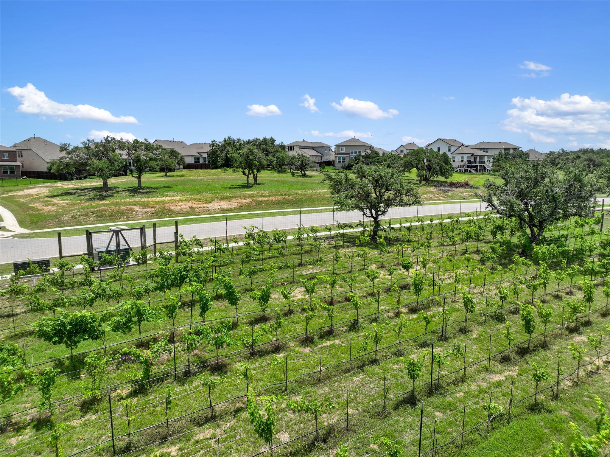 16913 Roselin Dr, Austin, TX 78738