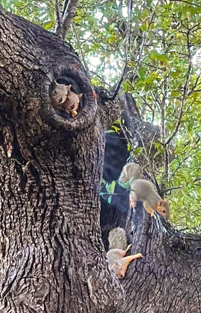 350 River Rapids Rd, Wimberley, TX 78676