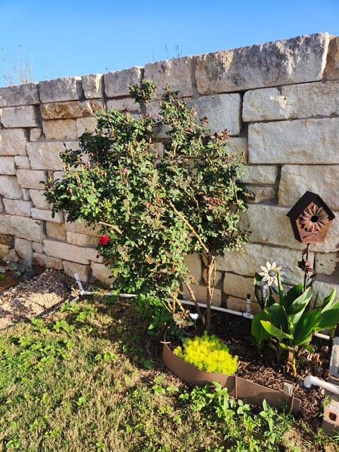 441 Mistflower Springs Dr, Leander, TX 78641