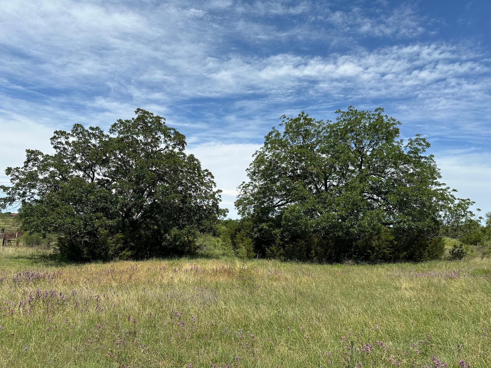 45 acres County Road 330, Bertram, TX 78605