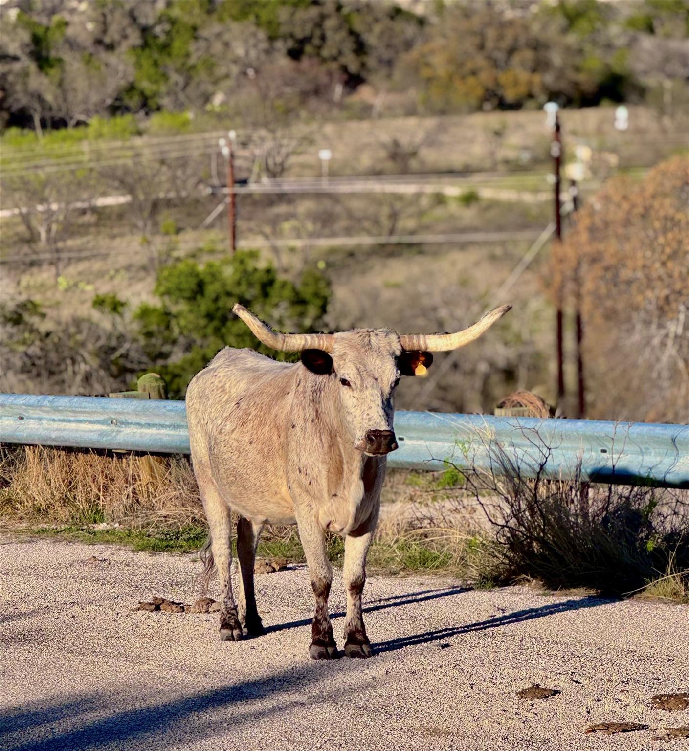 TBD Seven Springs Dr, Junction, TX 76849