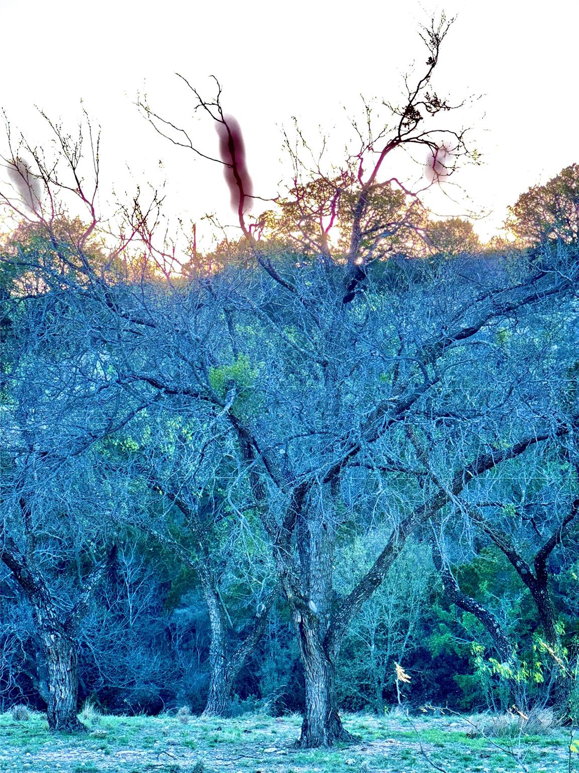 TBD Seven Springs Dr, Junction, TX 76849