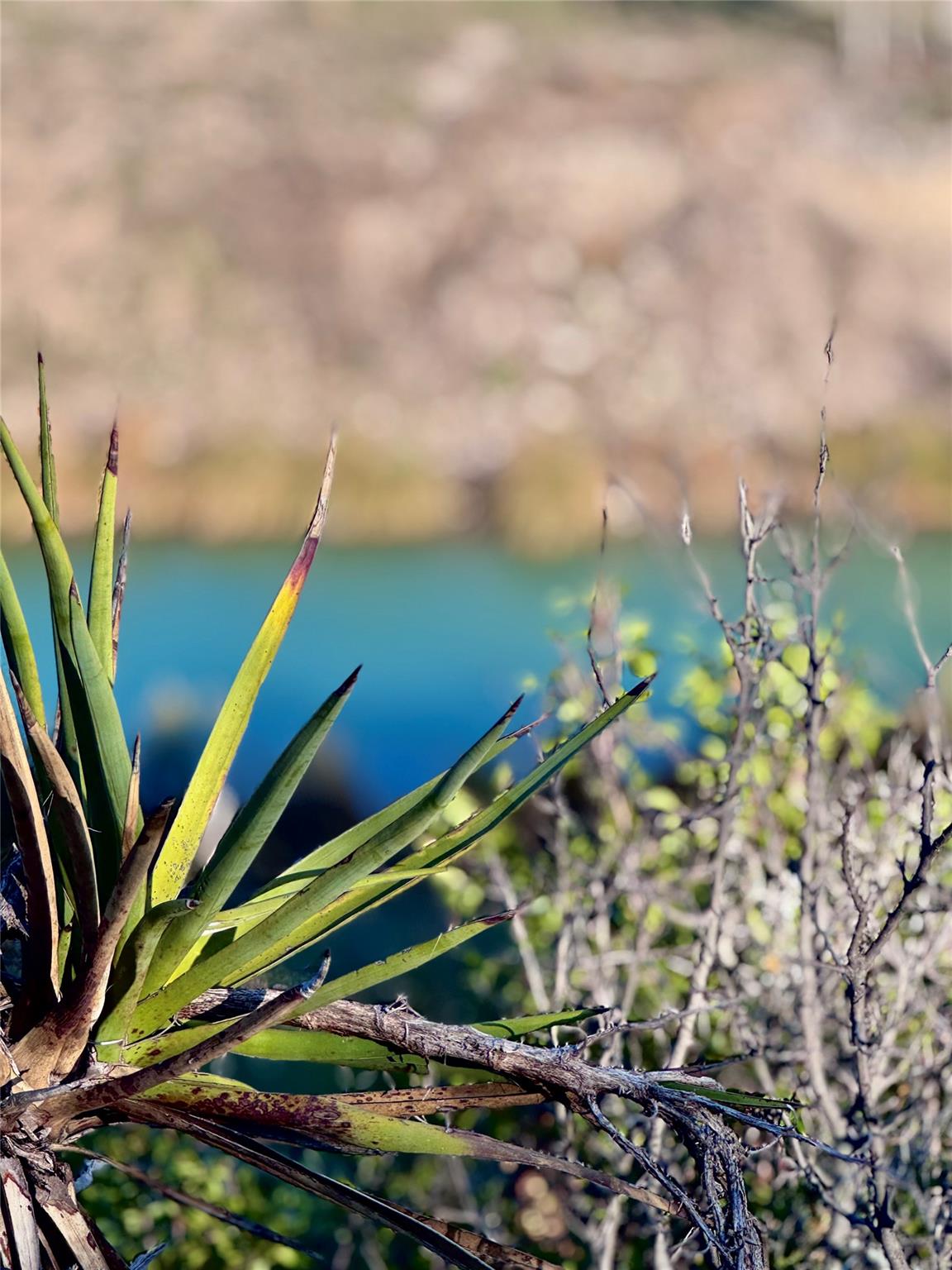 TBD Seven Springs Dr, Junction, TX 76849