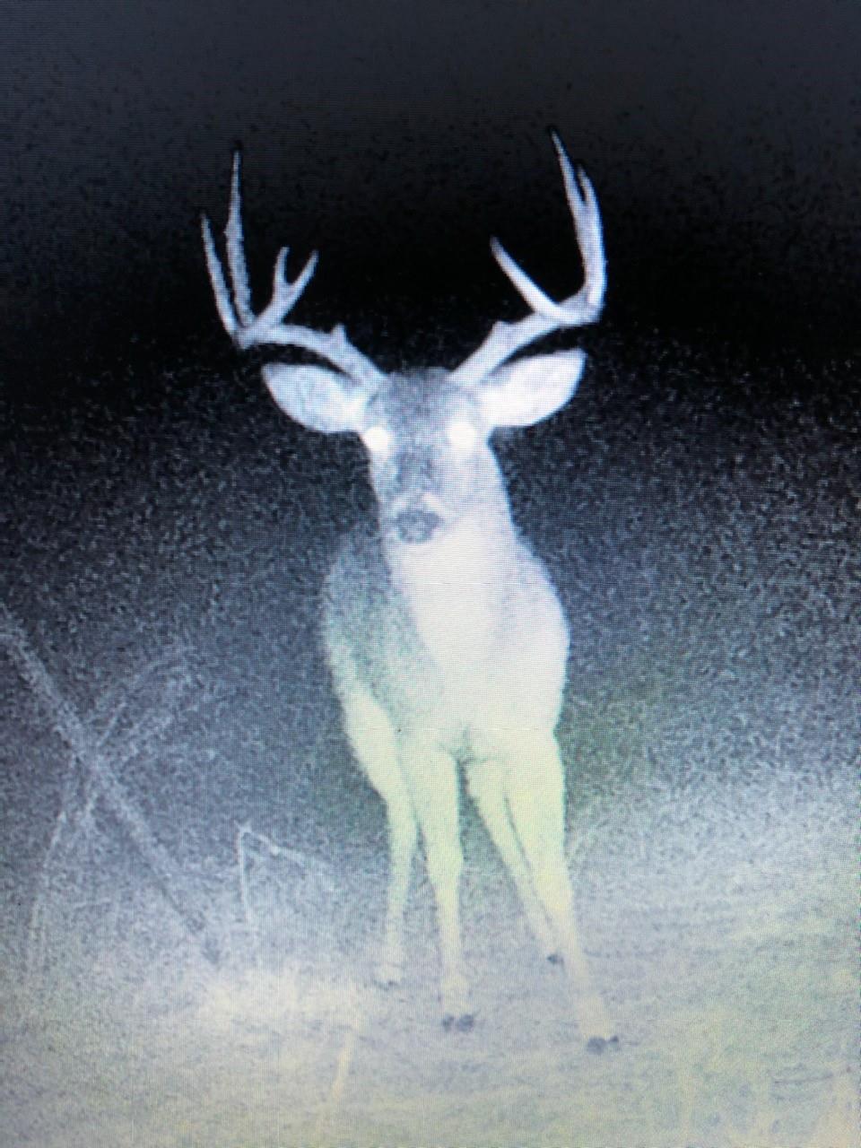 TBD S Rocky Trl, Lampasas, TX 76550